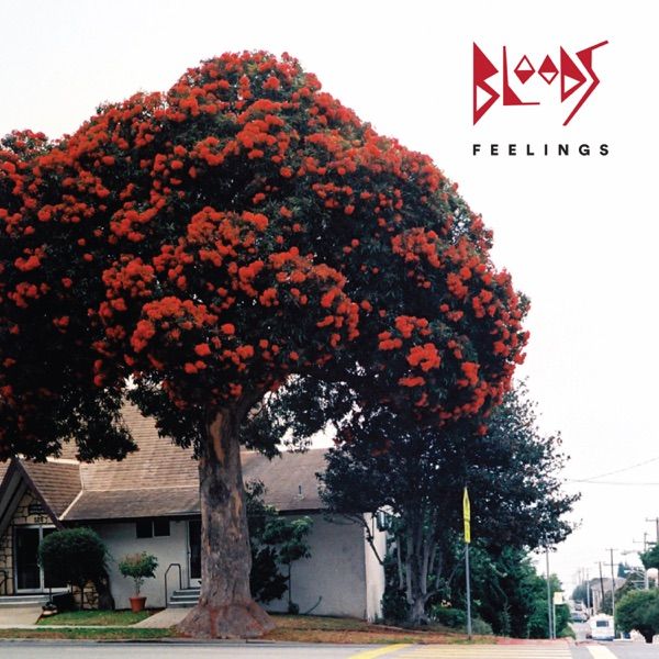 184. FEELINGS by Bloods